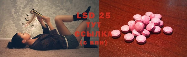 ГАЛЛЮЦИНОГЕННЫЕ ГРИБЫ Надым