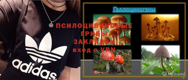 ГАЛЛЮЦИНОГЕННЫЕ ГРИБЫ Надым