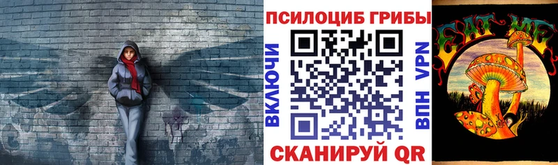 где продают   Ликино-Дулёво  Псилоцибиновые грибы Psilocybe 