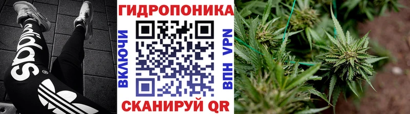 как найти наркотики  Ликино-Дулёво  Каннабис Amnesia 